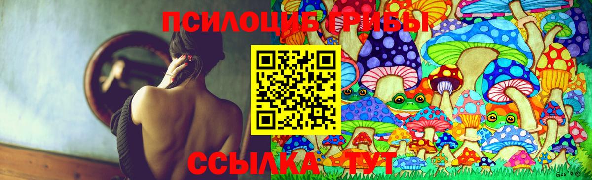Топки  Псилоцибиновые грибы MAGIC MUSHROOMS  где продают   Вход с VPN 